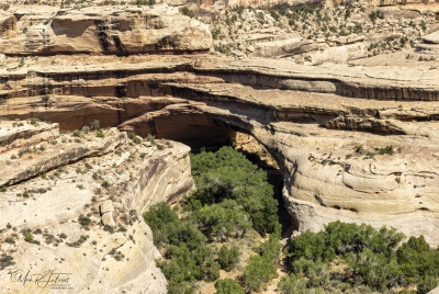 Natural Bridges Preserve June 2025